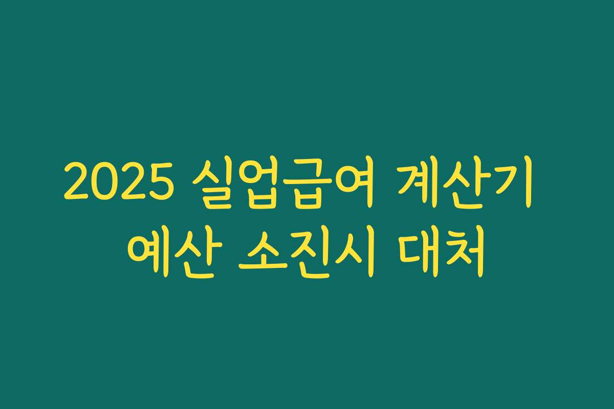 2025 실업급여 계산기 예산 소진시 대처 2025 실업급여 계산기 예산 소진시 대처