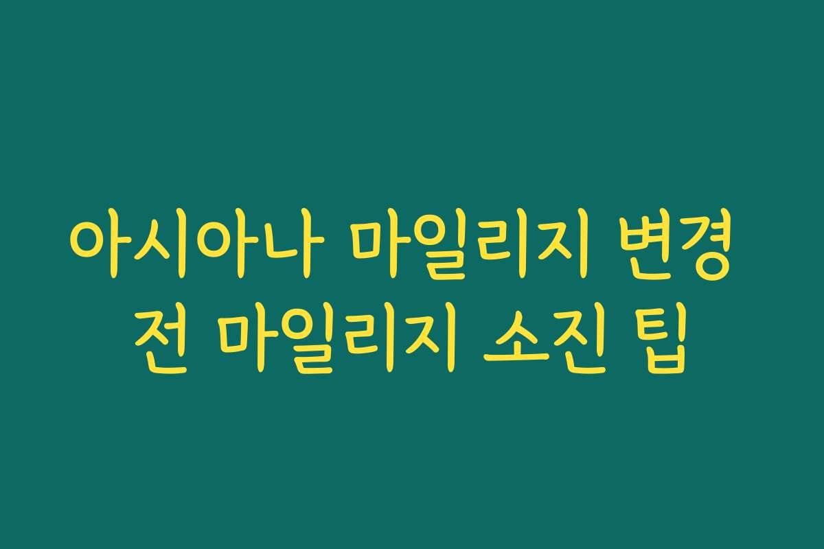 아시아나 마일리지 변경 전 마일리지 소진 팁