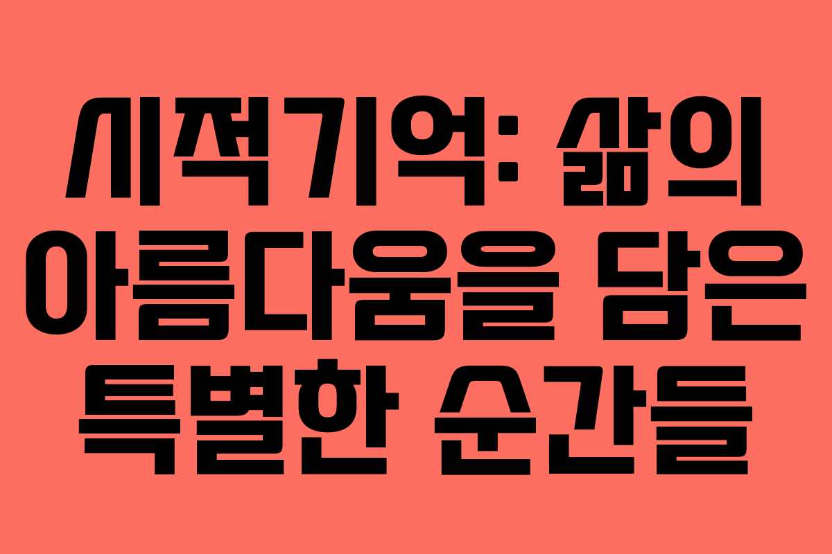 시적기억: 삶의 아름다움을 담은 특별한 순간들 시적기억: 삶의 아름다움을 담은 특별한 순간들