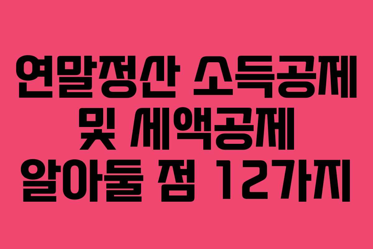 연말정산 소득공제 및 세액공제 알아둘 점 12가지