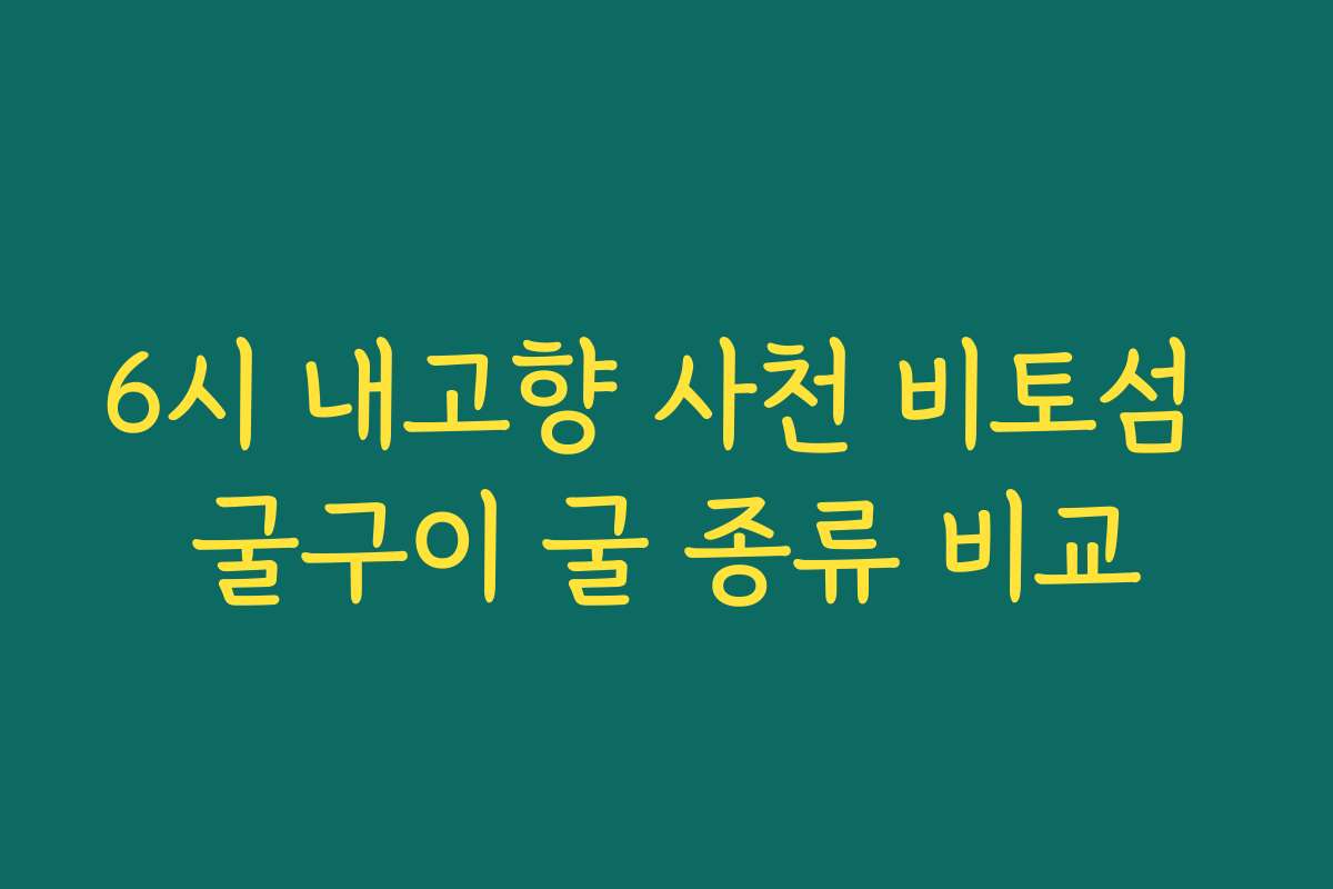 6시 내고향 사천 비토섬 굴구이 굴 종류 비교