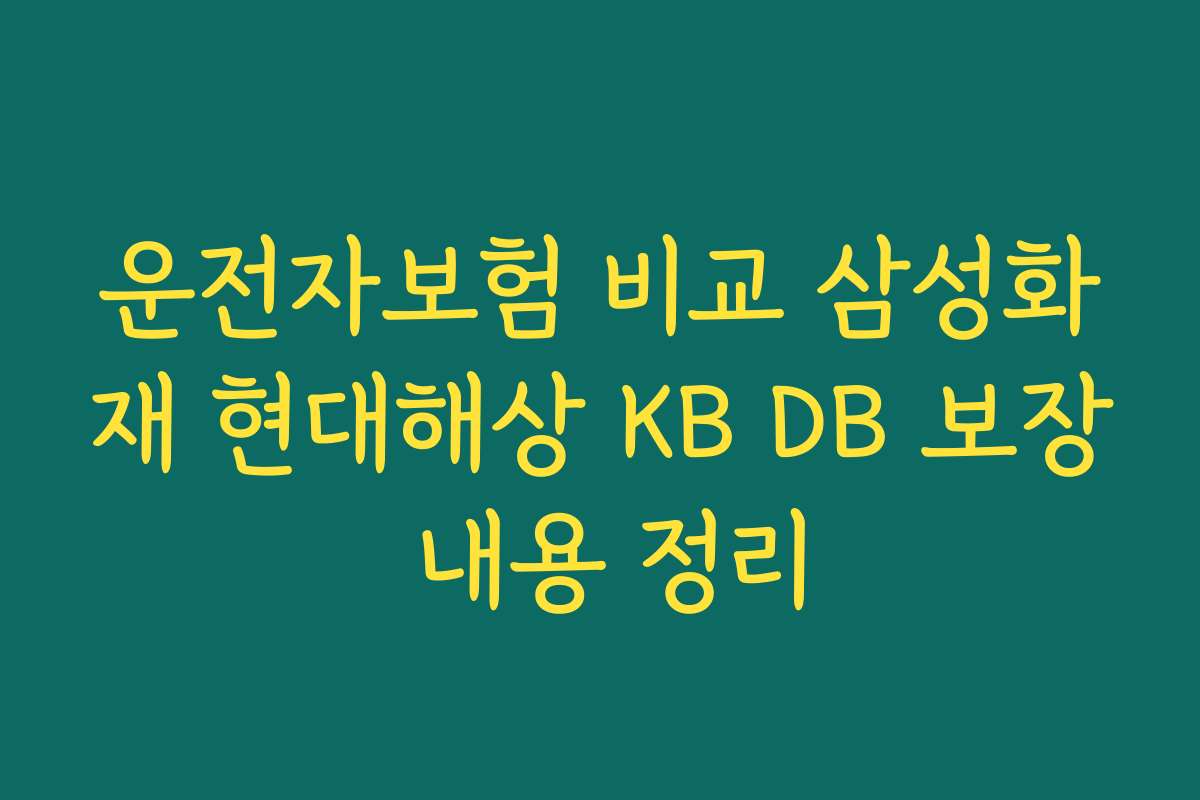 운전자보험 비교 삼성화재 현대해상 KB DB 보장 내용 정리
