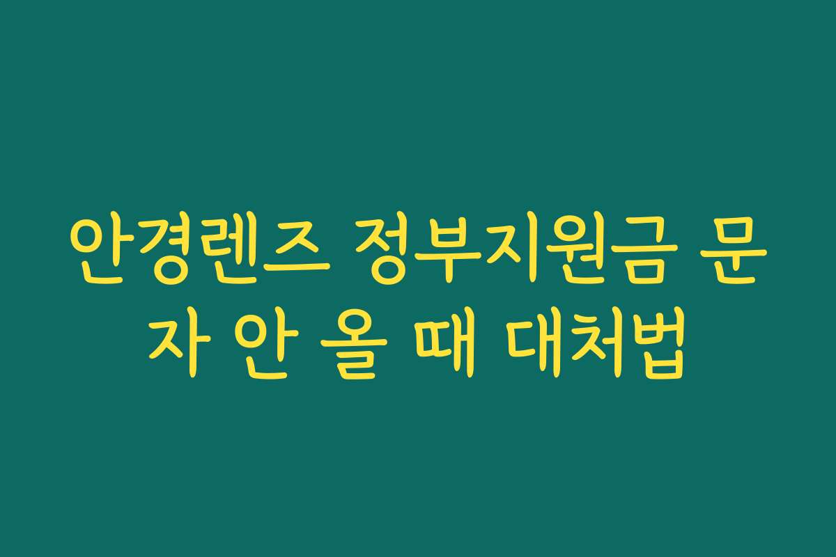 안경렌즈 정부지원금 문자 안 올 때 대처법