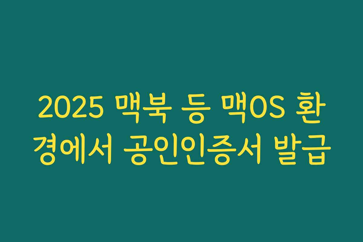2025 맥북 등 맥OS 환경에서 공인인증서 발급