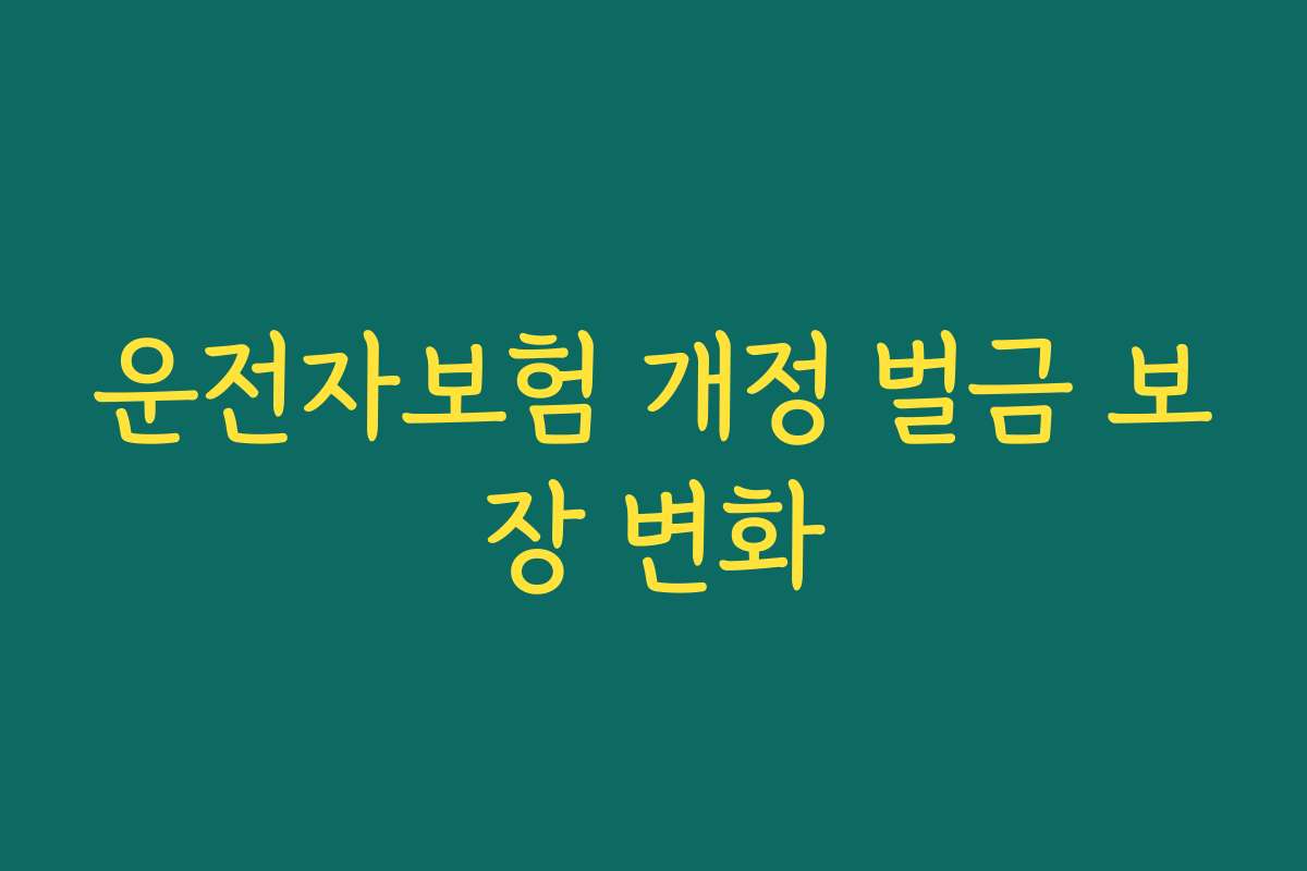 운전자보험 개정 벌금 보장 변화