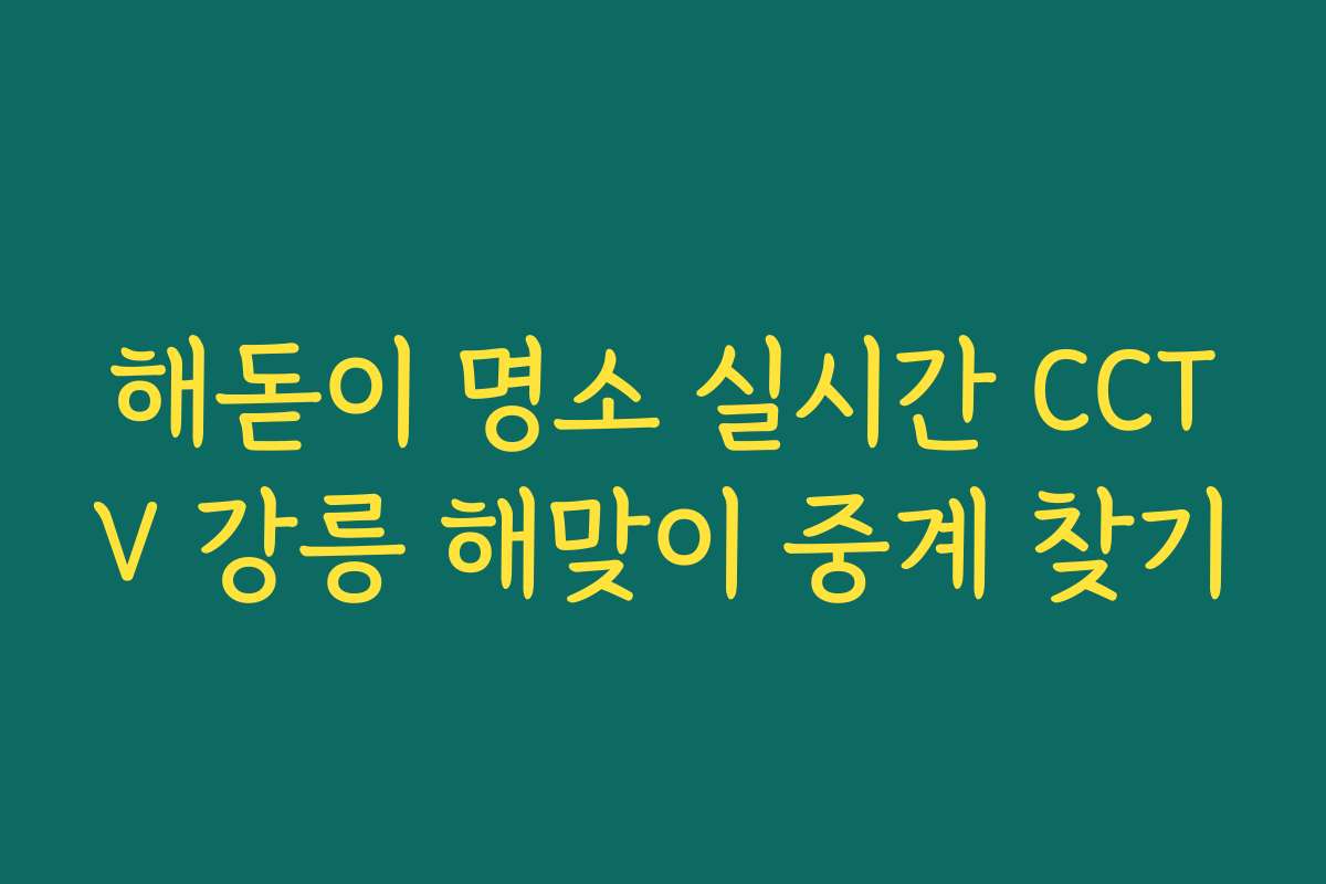 해돋이 명소 실시간 CCTV 강릉 해맞이 중계 찾기