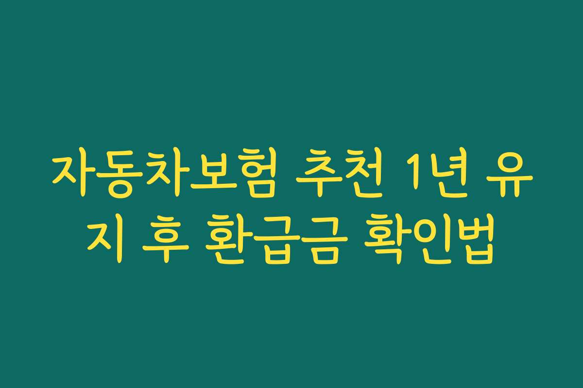 자동차보험 추천 1년 유지 후 환급금 확인법