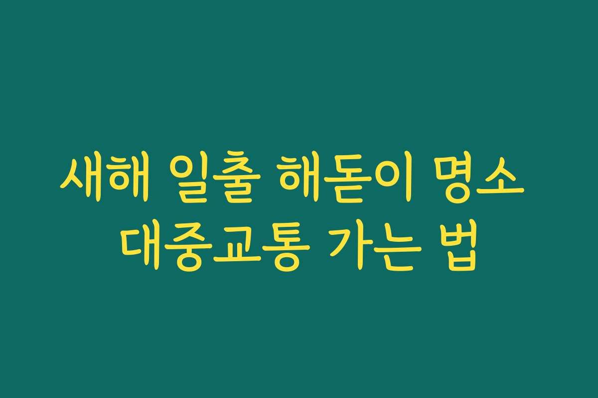 새해 일출 해돋이 명소 대중교통 가는 법
