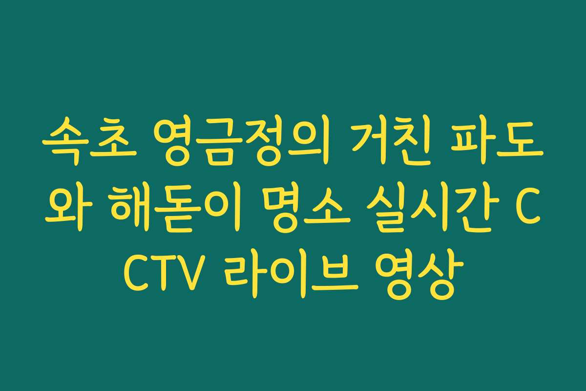 속초 영금정의 거친 파도와 해돋이 명소 실시간 CCTV 라이브 영상
