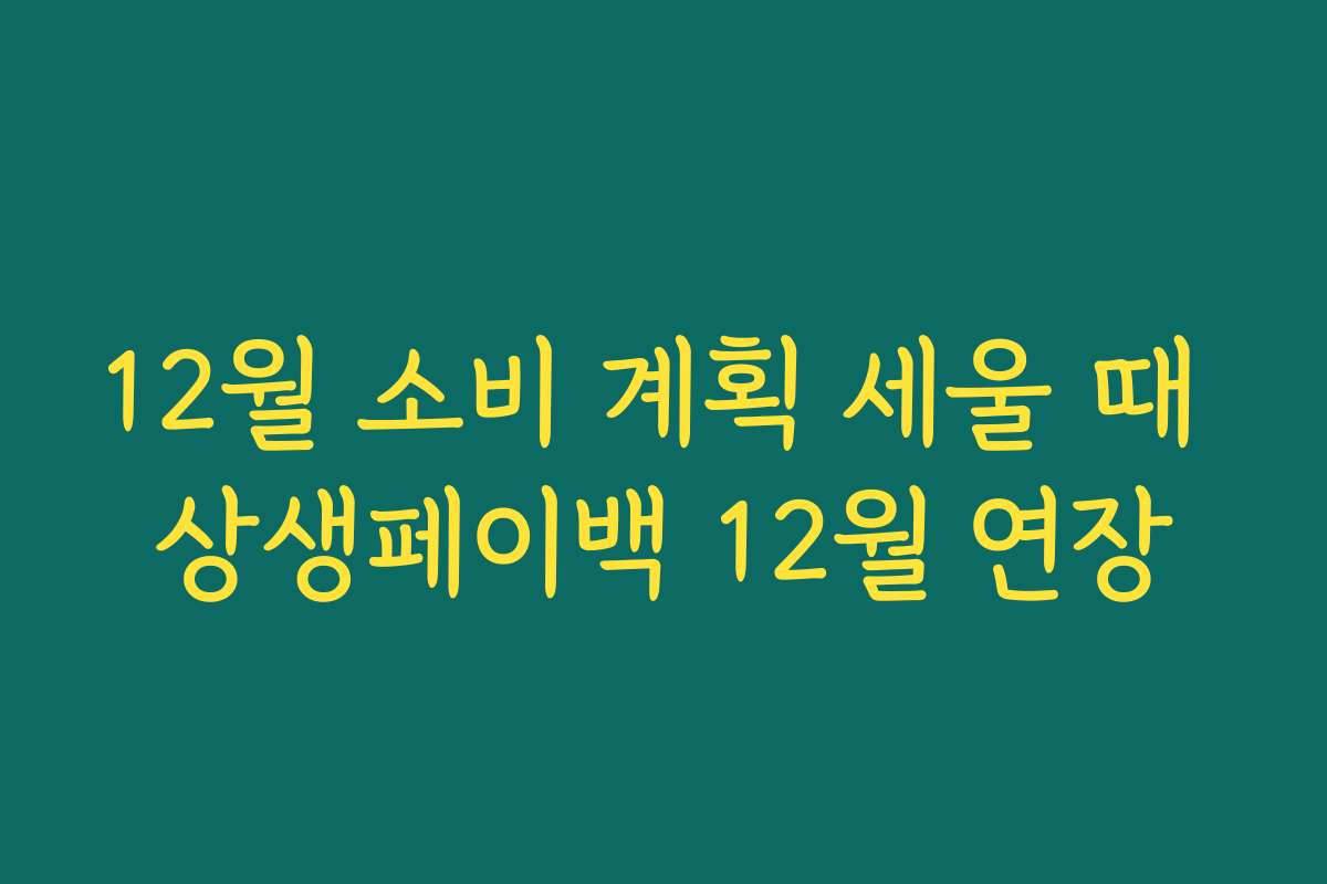 12월 소비 계획 세울 때 상생페이백 12월 연장