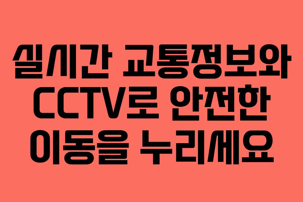 실시간 교통정보와 CCTV로 안전한 이동을 누리세요