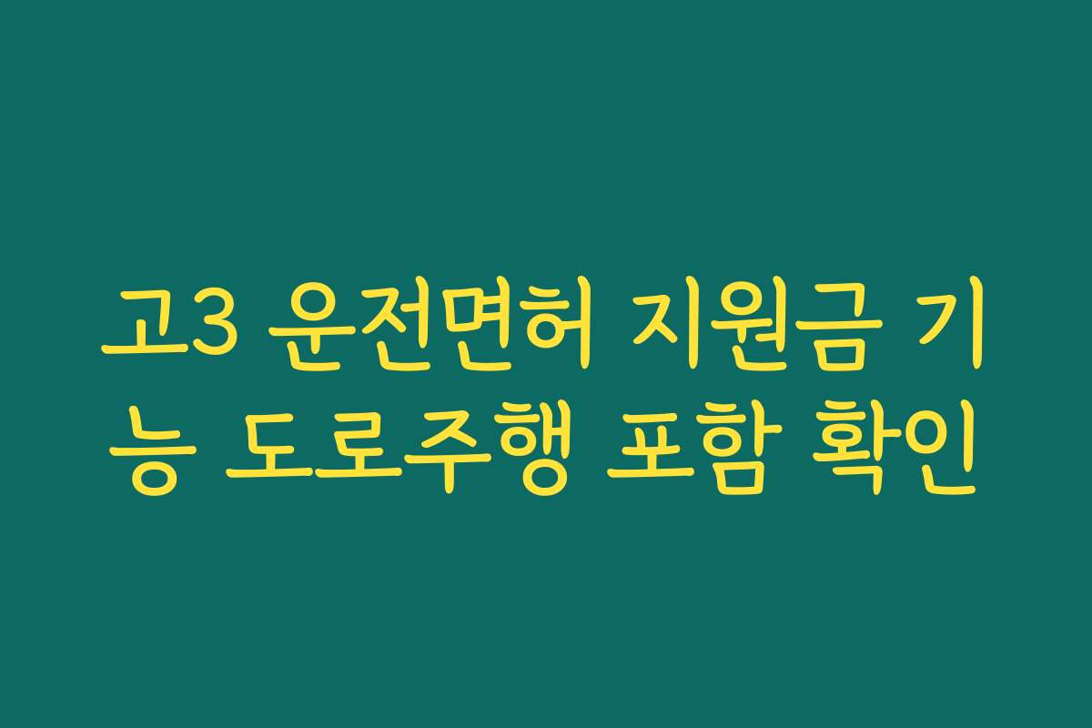 고3 운전면허 지원금 기능 도로주행 포함 확인