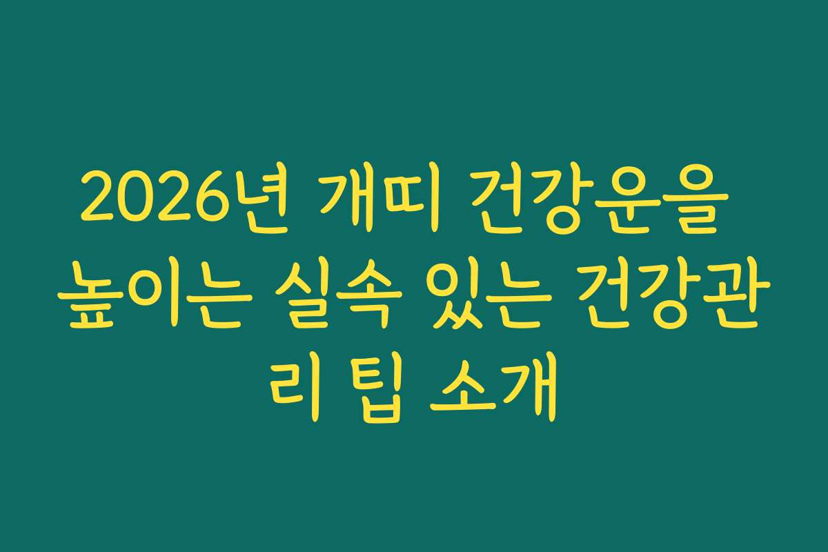 2026년 개띠 건강운을 높이는 실속 있는 건강관리 팁 소개