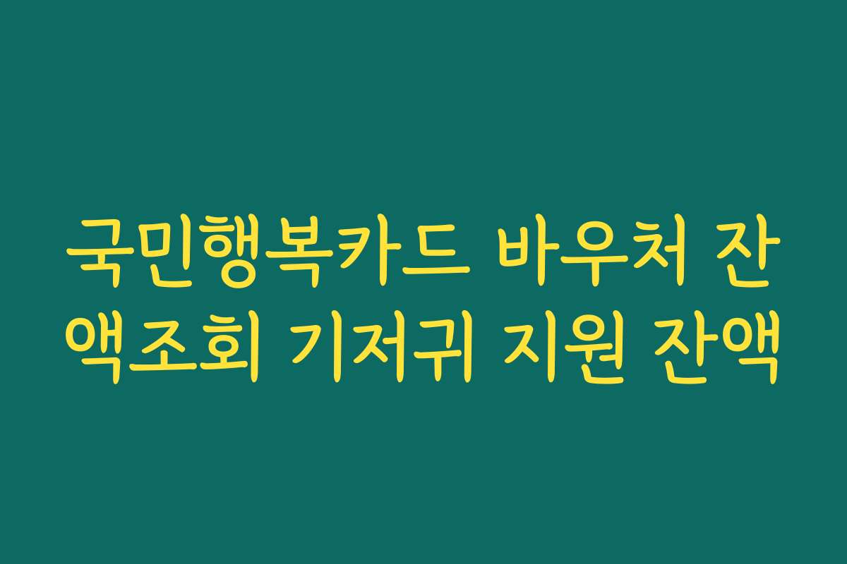 국민행복카드 바우처 잔액조회 기저귀 지원 잔액
