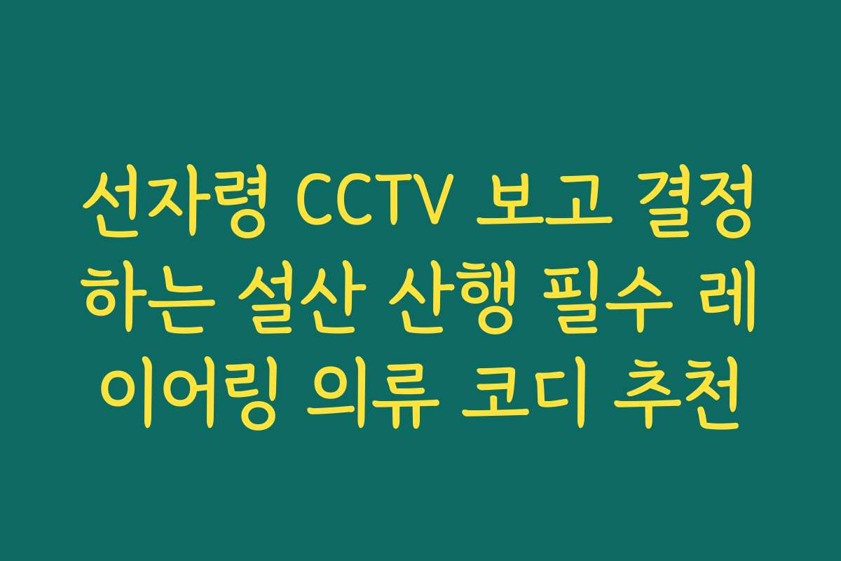 선자령 CCTV 보고 결정하는 설산 산행 필수 레이어링 의류 코디 추천