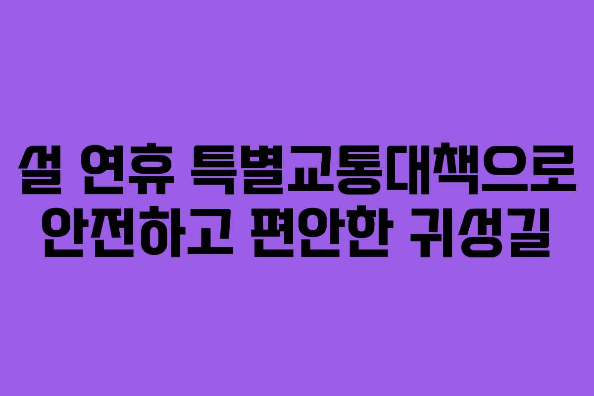 설 연휴 특별교통대책으로 안전하고 편안한 귀성길