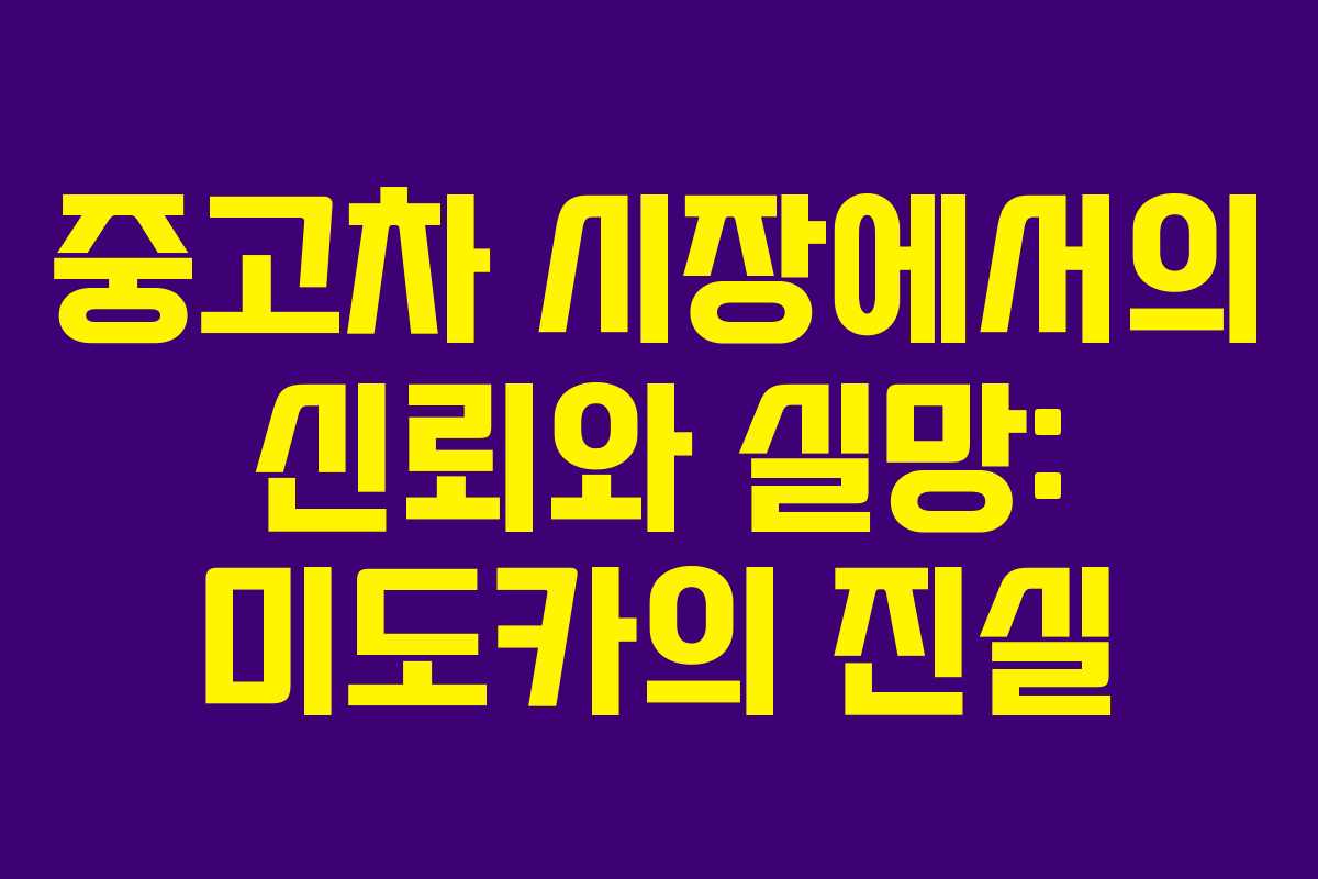중고차 시장에서의 신뢰와 실망: 미도카의 진실