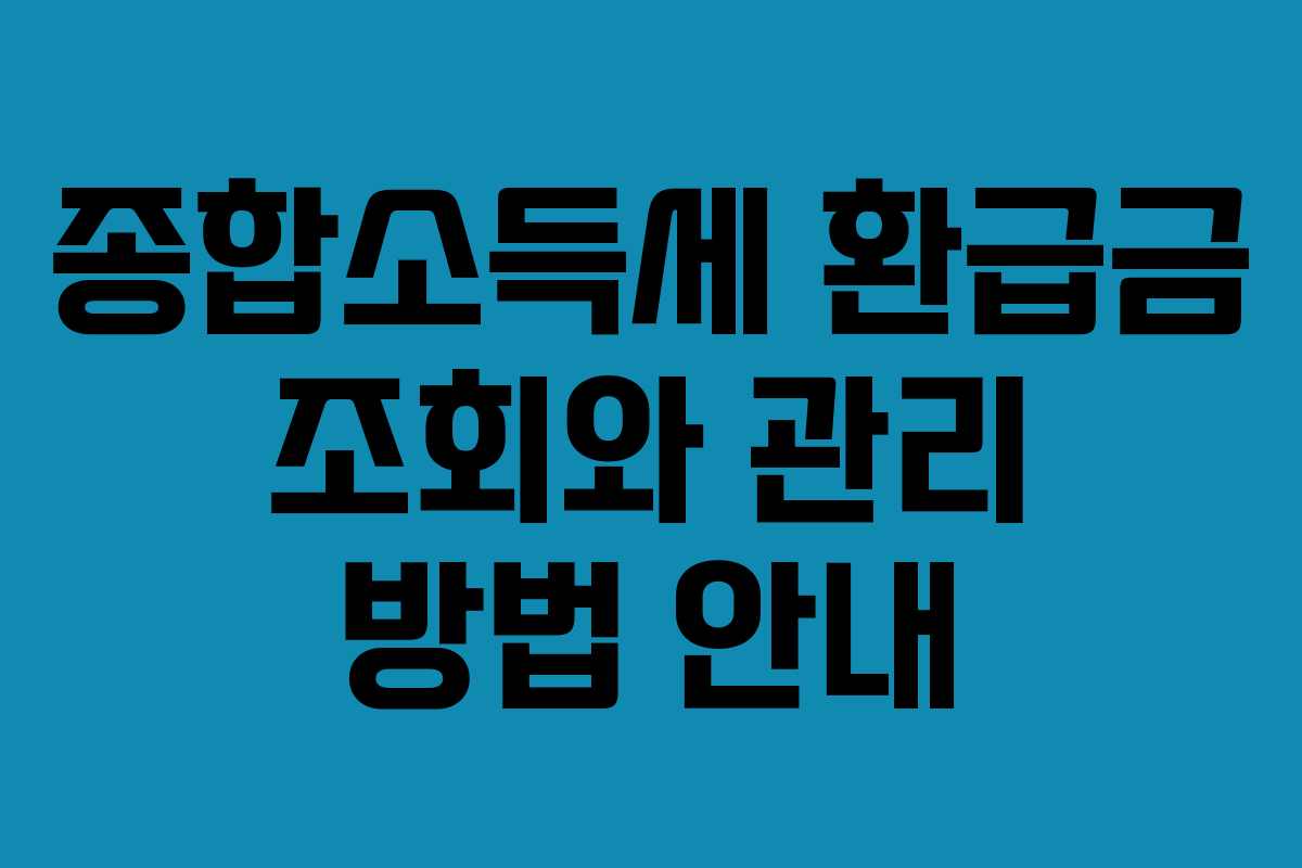 종합소득세 환급금 조회와 관리 방법 안내