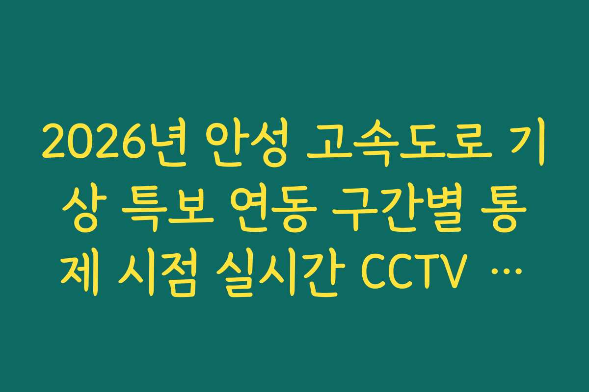 2026년 안성 고속도로 기상 특보 연동 구간별 통제 시점 실시간 CCTV 확인