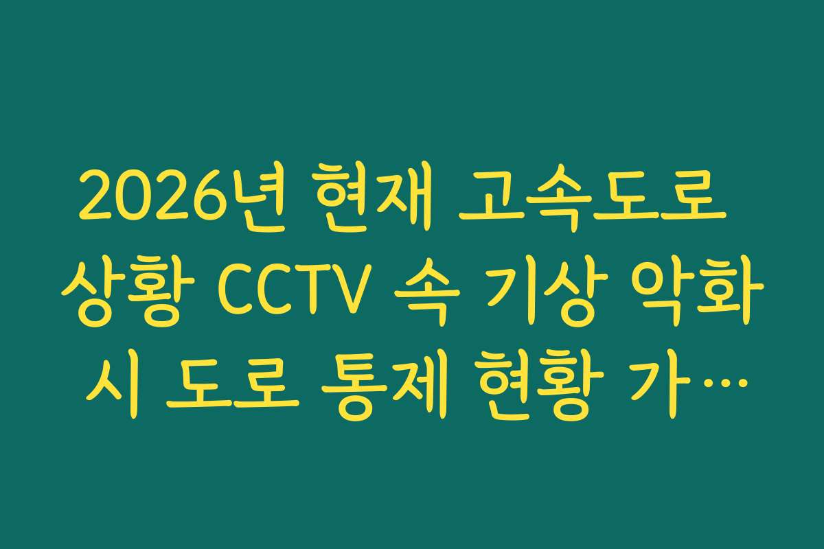 2026년 현재 고속도로 상황 CCTV 속 기상 악화 시 도로 통제 현황 가이드
