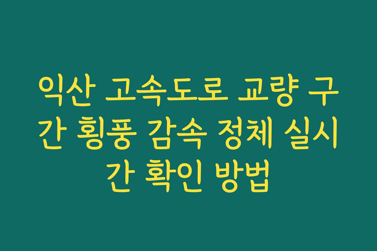 익산 고속도로 교량 구간 횡풍 감속 정체 실시간 확인 방법