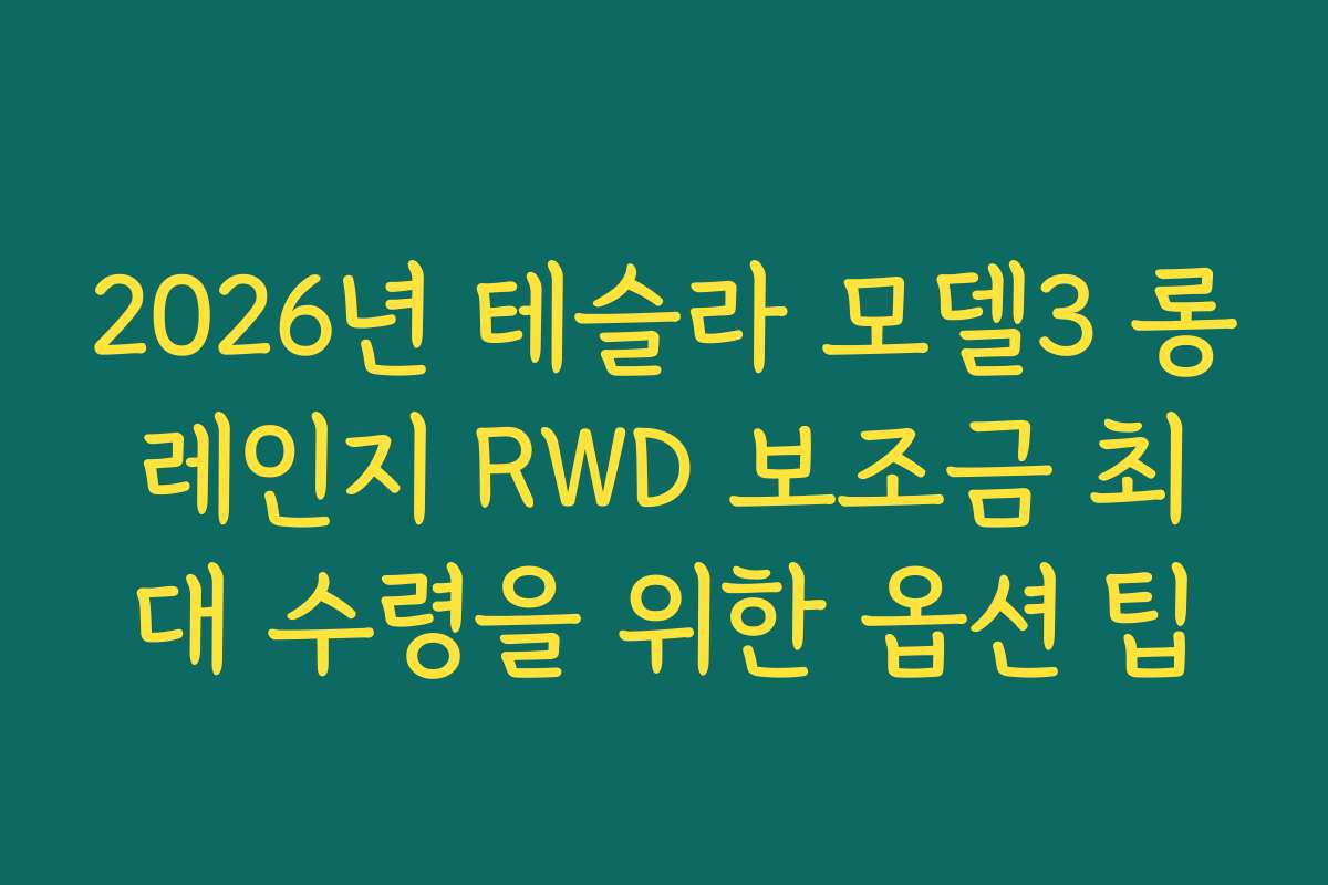 2026년 테슬라 모델3 롱레인지 RWD 보조금 최대 수령을 위한 옵션 팁