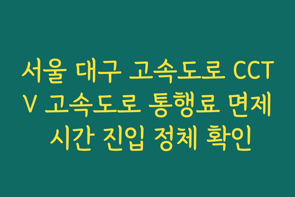 서울 대구 고속도로 CCTV 고속도로 통행료 면제 시간 진입 정체 확인