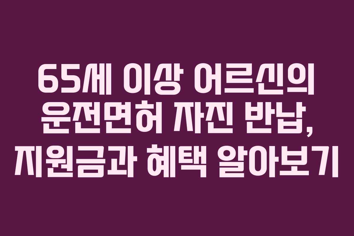 65세 이상 어르신의 운전면허 자진 반납, 지원금과 혜택 알아보기