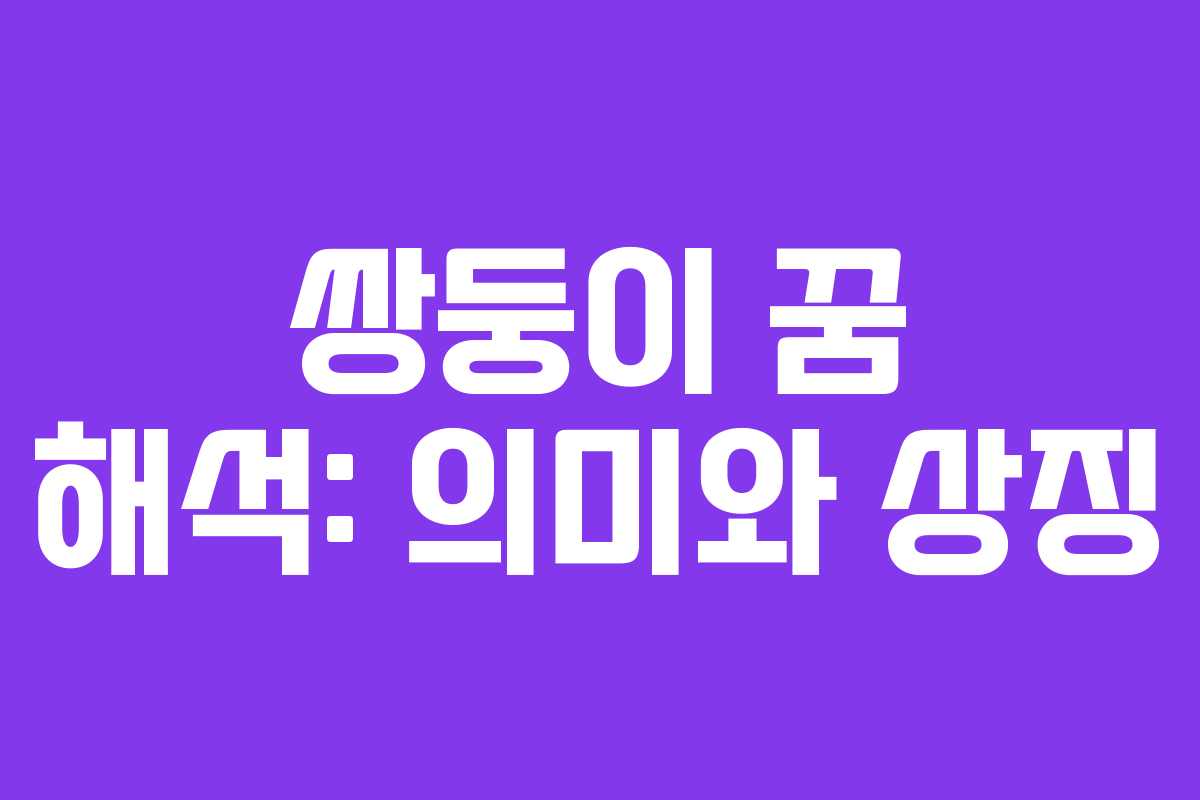 쌍둥이 꿈 해석: 의미와 상징