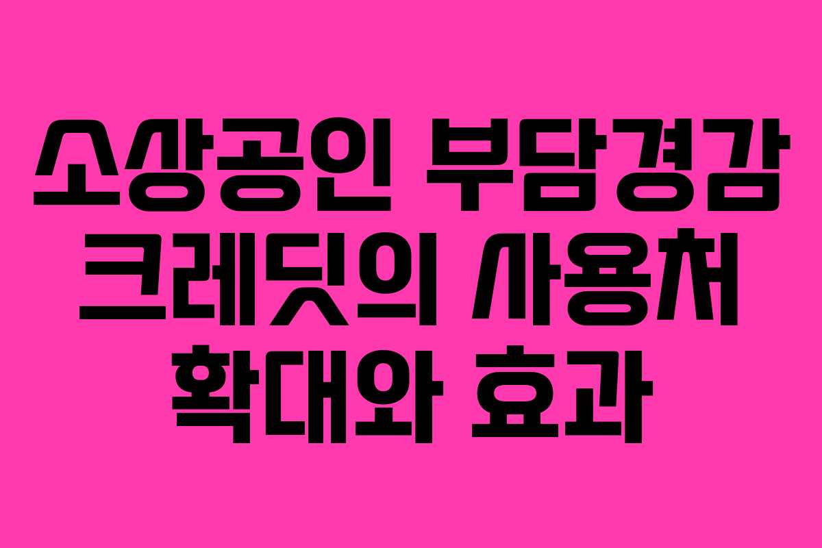 소상공인 부담경감 크레딧의 사용처 확대와 효과